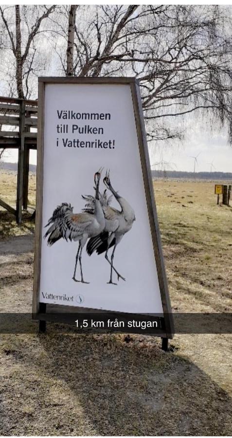 Villa Sus & Dus Yngsjo Экстерьер фото